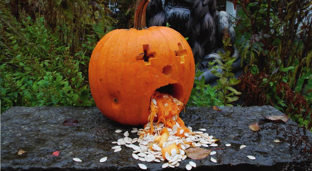 Puking Pumpkin 1
