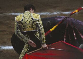 Kalin Nikolov Koev Torero CC 1