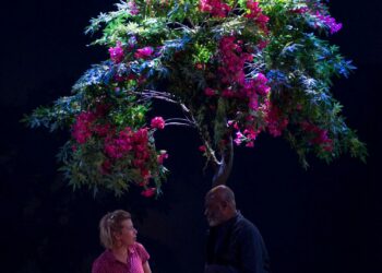 Combat de negre et de chiens Bernad Marie Koltes Theatre de la Bastille