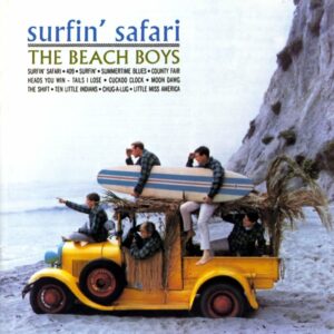 Brian Wilson Surfin Safari