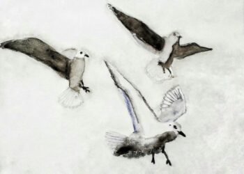 Le battement d'ailes Jeanne Morisseau