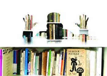 Diable de bibliothèque © Éric Desordre