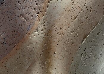 Au réveil, lumière © Photo Eric Desordre 2025