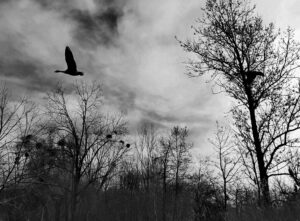 Photo 1 © Isabelle Lagny