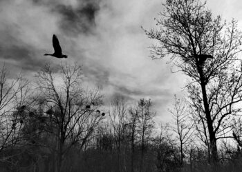 Photo 1 © Isabelle Lagny