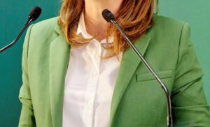 Veste verte
