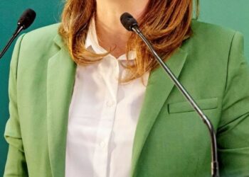 Veste verte