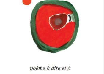 Solitude Alain Marc Z4 éditions Douro