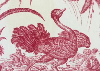 Voyez mes ailes © Eric Desordre