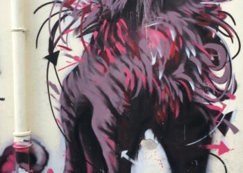 La Bête ©photo Eric Desordre sur les murs de Sète