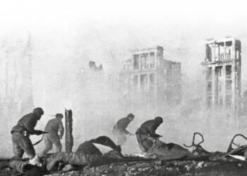 Vie et destin le livre