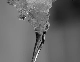 9782492895371 475x500 1