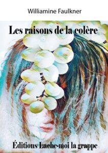 EDesordre WMihuleac Les raisons de la colère