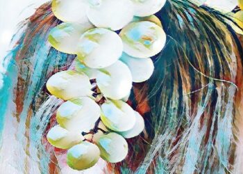 EDesordre WMihuleac Les raisons de la colère