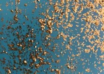 Poussières d'or ©Eric Desordre 2026