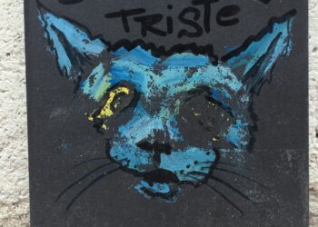 Sur les murs de Paris 12 © photo Eric Desordre