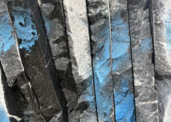Qu'est ce que ce bleu fait là © photo Eric Desordre
